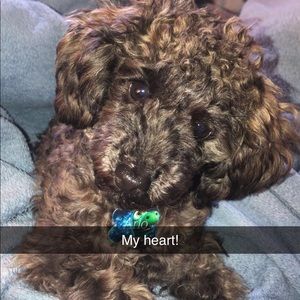 Meet your Posher, Camryn